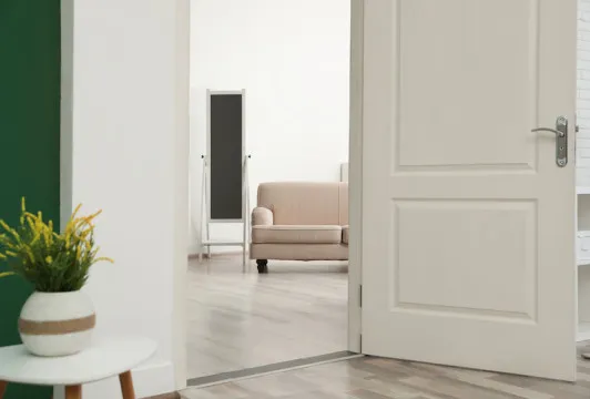 elegant minimalist door models