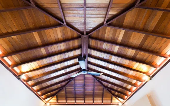 jenis plafon Types of Ceilings