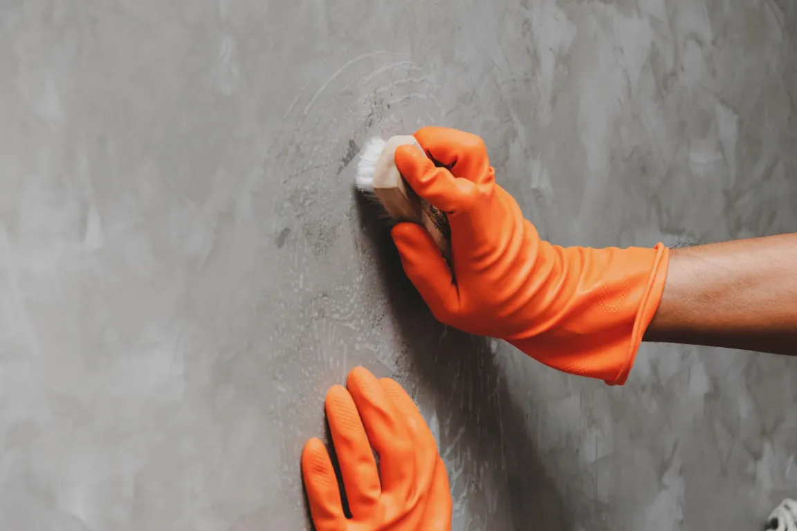cara menghilangkan jamur di tembok​ Ways to Remove Mold on Walls