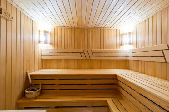 sauna di rumah